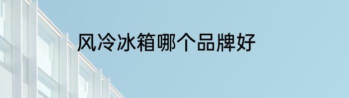 风冷冰箱哪个品牌好