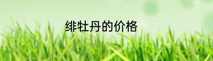 绯牡丹的价格