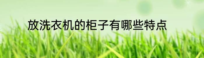放洗衣机的柜子有哪些特点