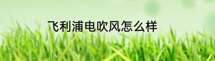 飞利浦电吹风怎么样