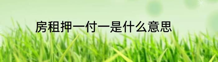 房租押一付一是什么意思