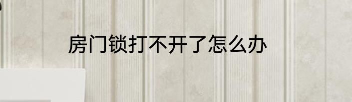 房门锁打不开了怎么办