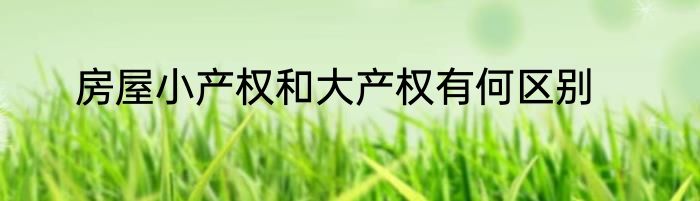 房屋小产权和大产权有何区别
