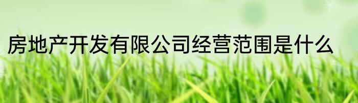 房地产开发有限公司经营范围是什么