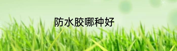 防水胶哪种好