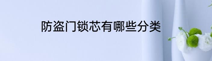 防盗门锁芯有哪些分类