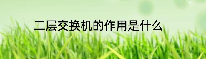 二层交换机的作用是什么