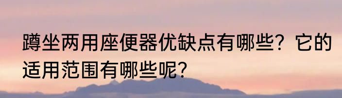 蹲坐两用座便器优缺点有哪些？它的适用范围有哪些呢？