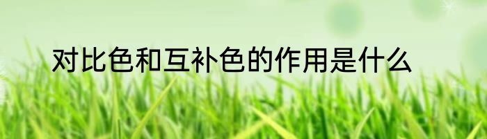 对比色和互补色的作用是什么