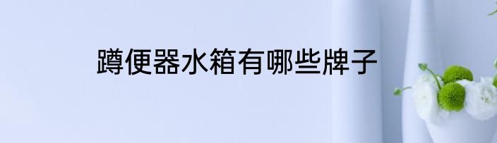 蹲便器水箱有哪些牌子