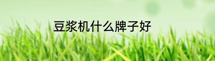 豆浆机什么牌子好