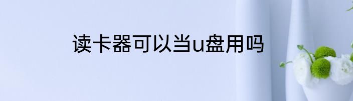 读卡器可以当u盘用吗