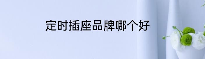 定时插座品牌哪个好