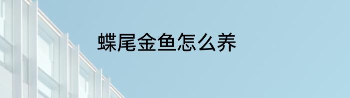蝶尾金鱼怎么养