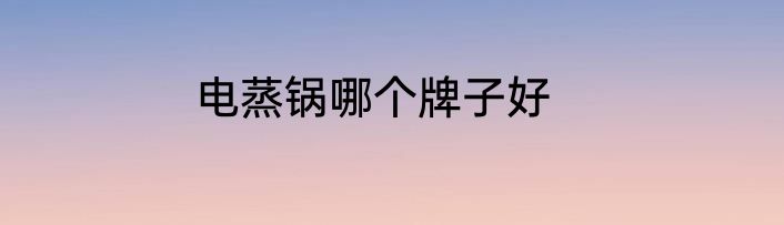 电蒸锅哪个牌子好