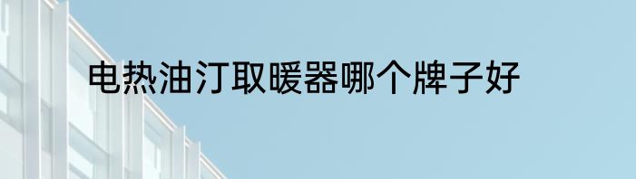 电热油汀取暖器哪个牌子好