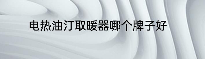 电热油汀取暖器哪个牌子好