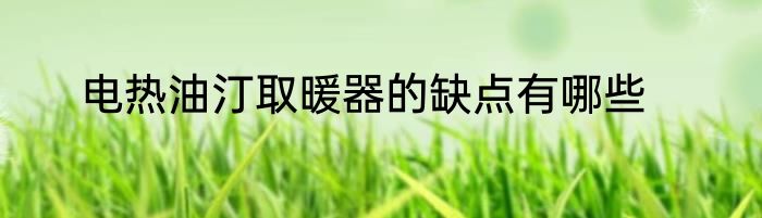 电热油汀取暖器的缺点有哪些