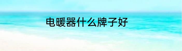 电暖器什么牌子好