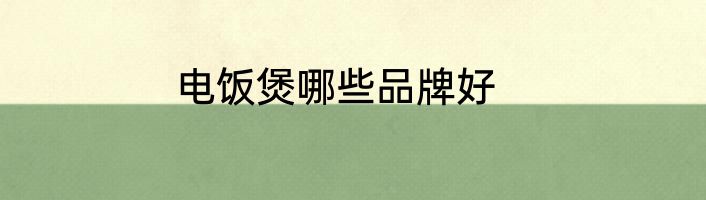 电饭煲哪些品牌好
