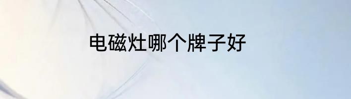 电磁灶哪个牌子好
