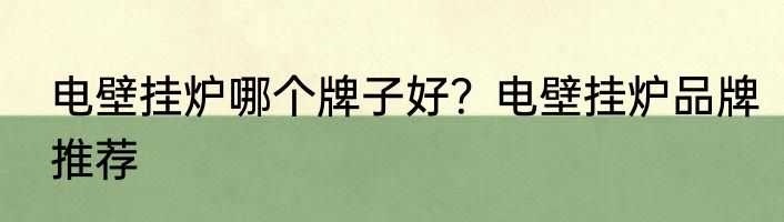 电壁挂炉哪个牌子好？电壁挂炉品牌推荐