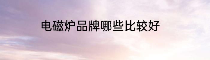 电磁炉品牌哪些比较好
