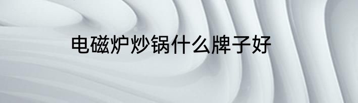 电磁炉炒锅什么牌子好