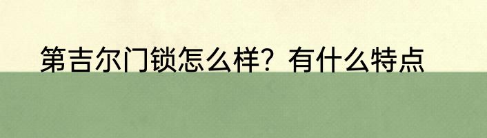 第吉尔门锁怎么样？有什么特点