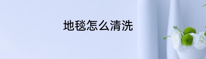 地毯怎么清洗