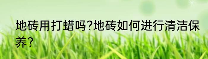 地砖用打蜡吗?地砖如何进行清洁保养?
