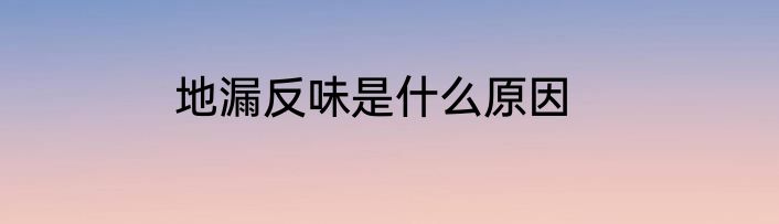 地漏反味是什么原因