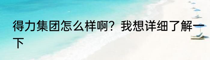 得力集团怎么样啊？我想详细了解一下