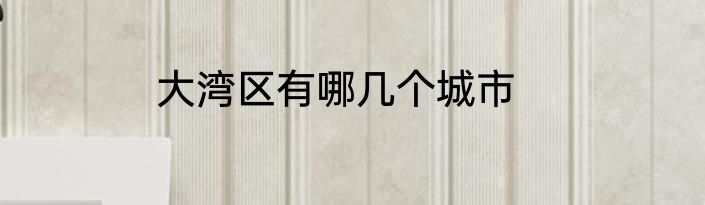 大湾区有哪几个城市