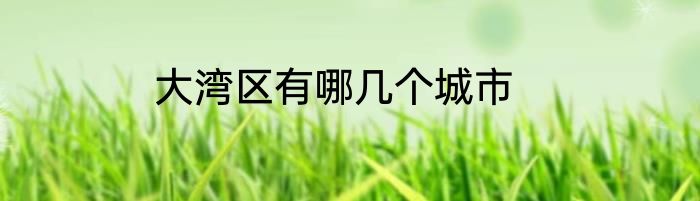 大湾区有哪几个城市