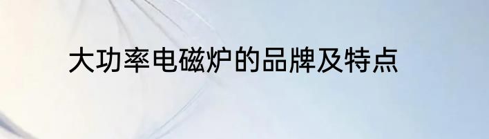 大功率电磁炉的品牌及特点