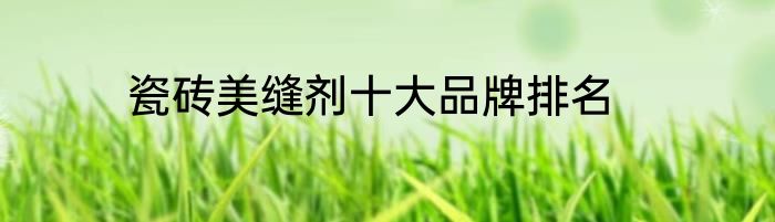 瓷砖美缝剂十大品牌排名