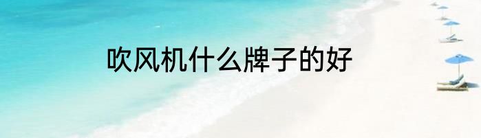 吹风机什么牌子的好