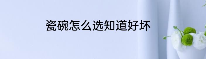 瓷碗怎么选知道好坏
