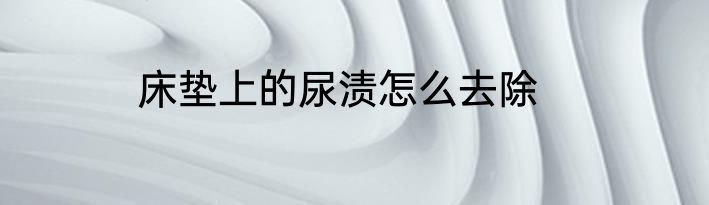 床垫上的尿渍怎么去除