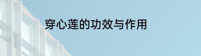 穿心莲的功效与作用