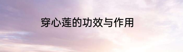 穿心莲的功效与作用