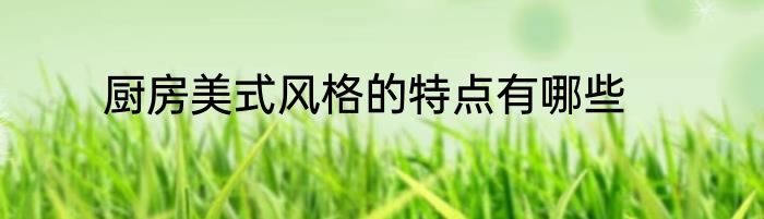 厨房美式风格的特点有哪些