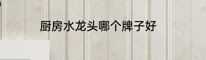 厨房水龙头哪个牌子好