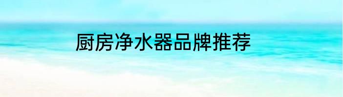 厨房净水器品牌推荐