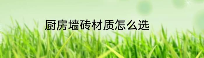 厨房墙砖材质怎么选