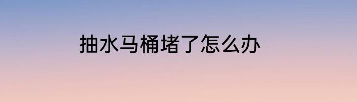 抽水马桶堵了怎么办