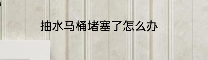 抽水马桶堵塞了怎么办