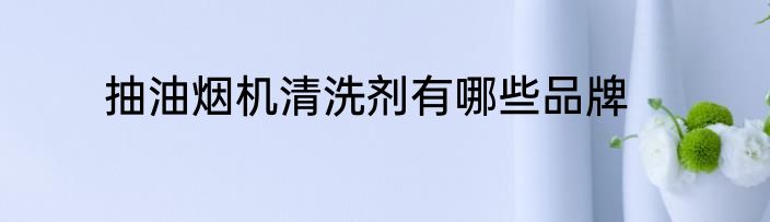 抽油烟机清洗剂有哪些品牌