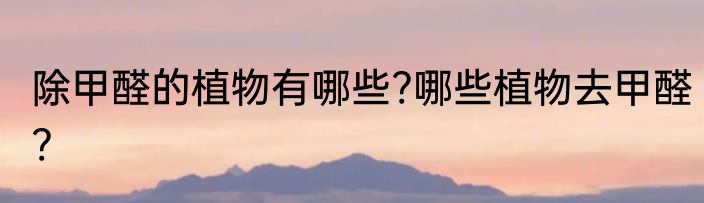 除甲醛的植物有哪些?哪些植物去甲醛?